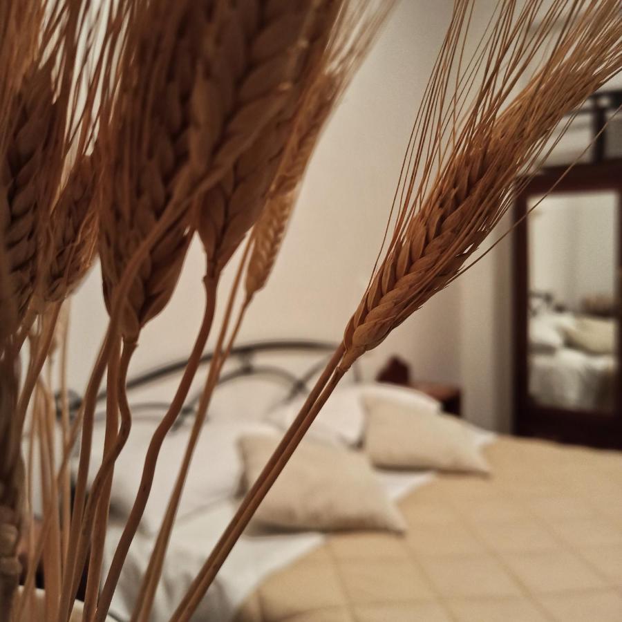 B&B La Masseria Del '700 Castiglione a Casauria Экстерьер фото